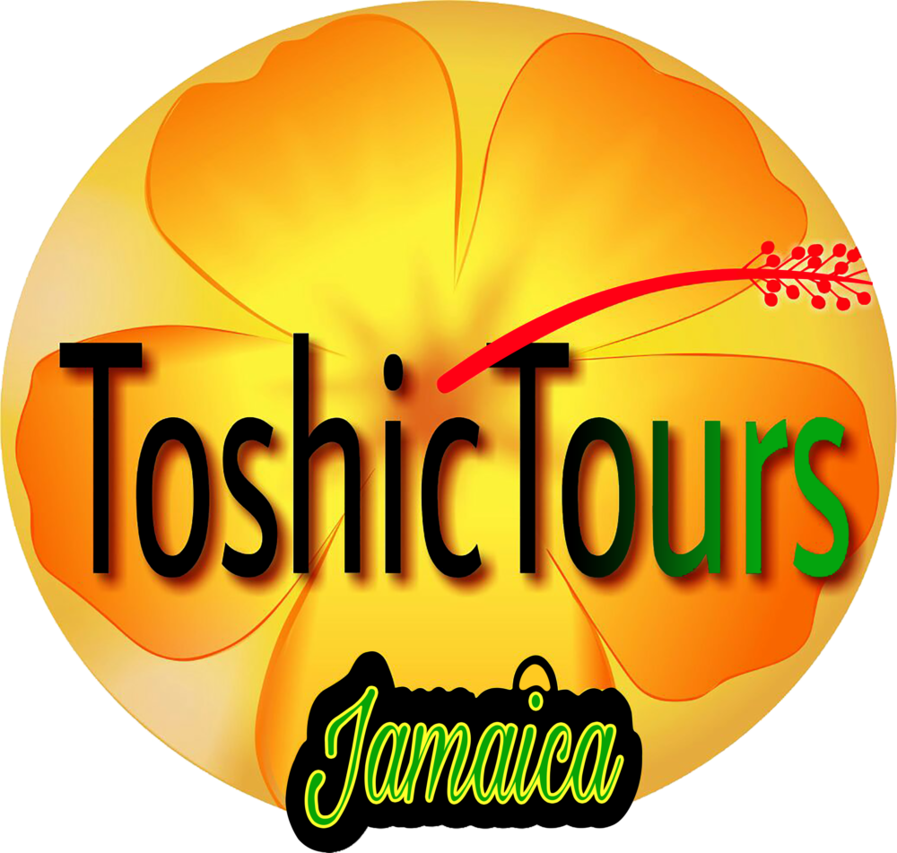 Toshic Logo