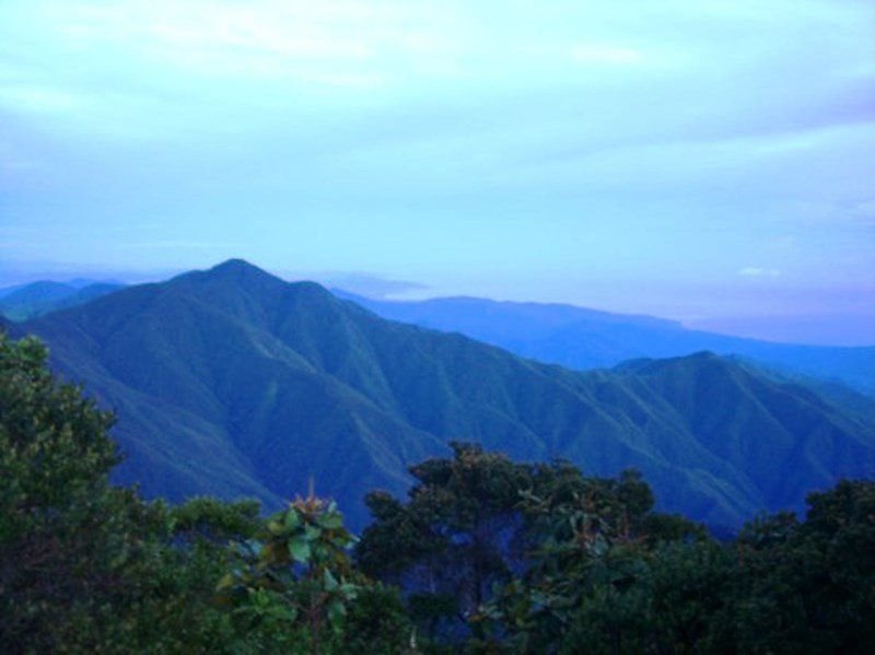 Blue Mountains, Kingston, Jamaica - Toshic Tours Jamaica