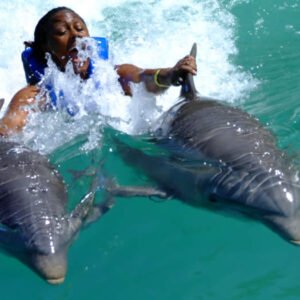 Dolphin Cove Ocho Rios